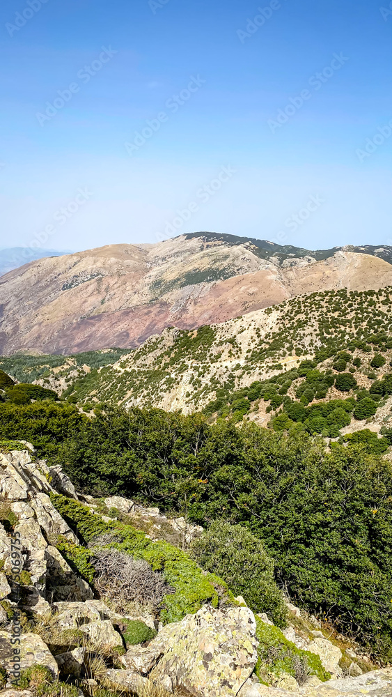 Sicily mountains Parco delle Madonie with a rocks and forests