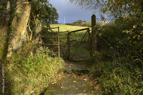 Old Gate at Glenasmole