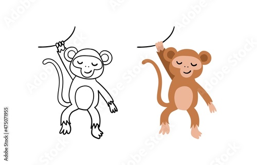 Cute hand-drawn monkey character. Vector illustration. Contour and color version.