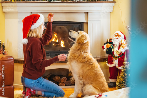 Stylish happy woman sitting and hugging adorable dog under christmas tree with gifts and lights. Young female playing and caressing cute dog in festive scandinavian room. Happy Holidays! © Dragana Gordic