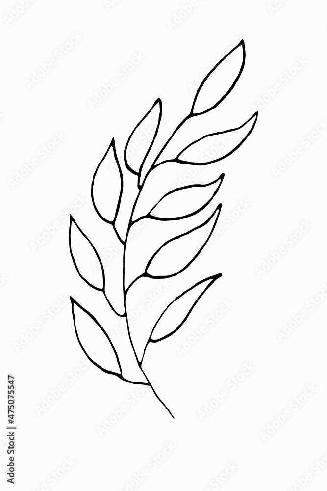 Meadow plants. A simple sketch. Vector line illustration Meadow plants. A simple sketch. Vector line illustration