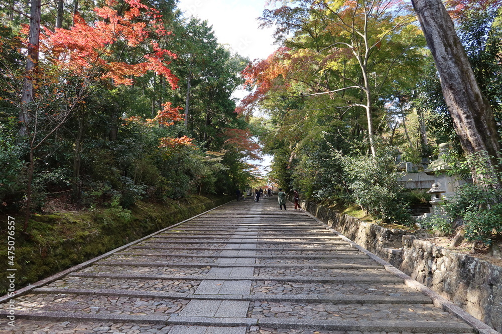 The access steps to the the precincts of Koumyou-ji Temple in Nagaokakyou City in Kyoto prefecture in Japan 日本の京都府長岡京市にある光明寺境内への参道の階段と紅葉 The access steps to the the precincts of Koumyou-ji Temple in Nagaokakyou City in Kyoto prefecture in Japan 日本の京都府長岡京市にある光明寺境内への参道の階段と紅葉