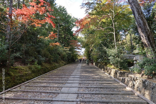 The access steps to the  the precincts of Koumyou-ji Temple in Nagaokakyou City in Kyoto prefecture in Japan 日本の京都府長岡京市にある光明寺境内への参道の階段と紅葉 photo