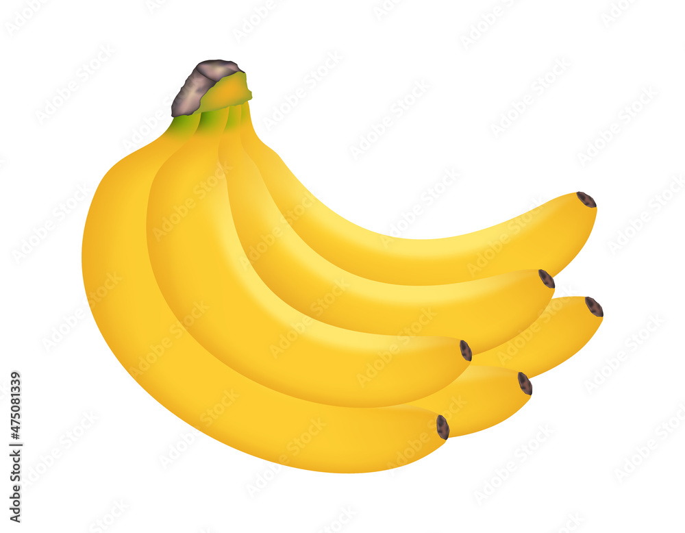 Banana cluster isolated on white,  3d vector illustration
