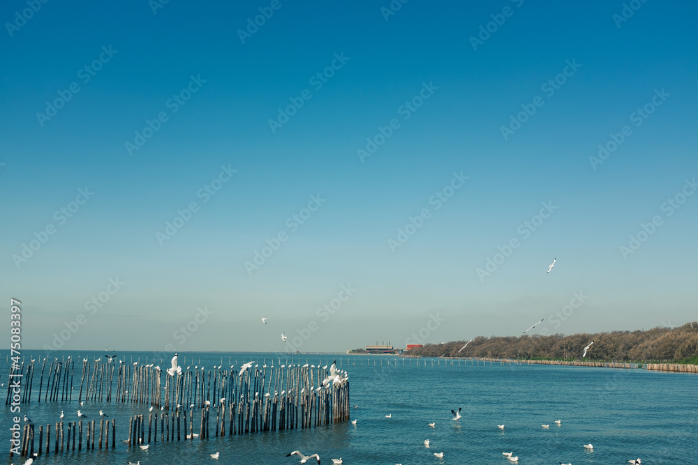 Obraz premium view of the sea from the pier
