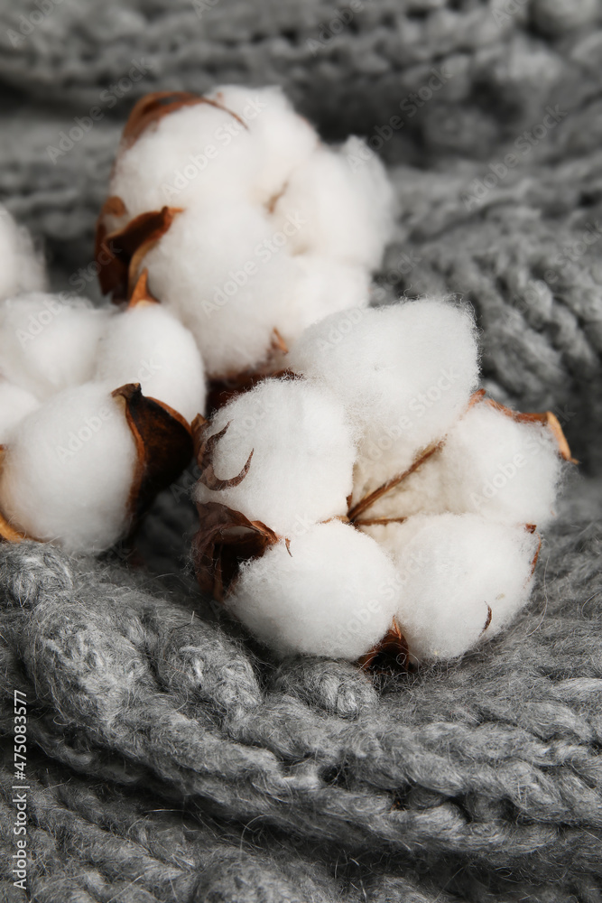 Beautiful cotton flowers on grey knitted fabric background, closeup Beautiful cotton flowers on grey knitted fabric background, closeup
