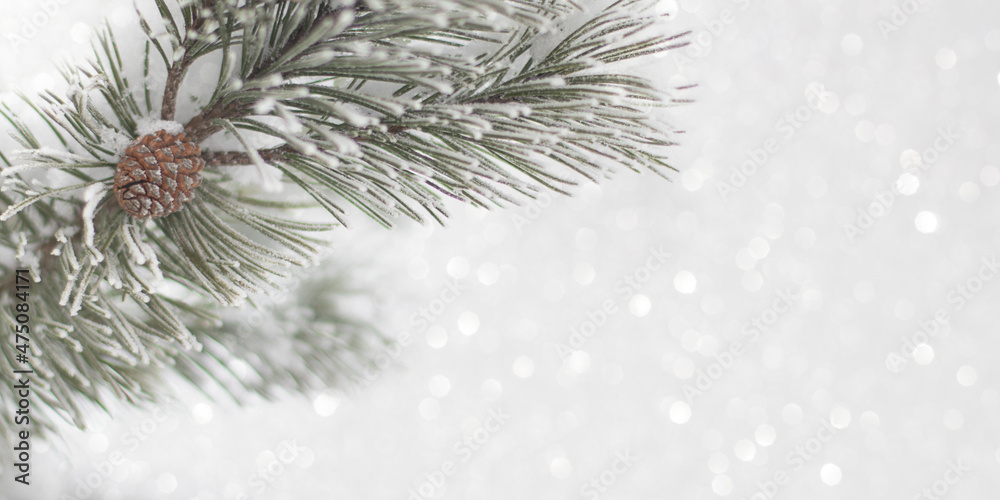 Background with pine branch and pine cone, defocus lights and snow. Happy new year card