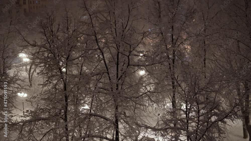 Christmas weather. Snow-covered tree branches and snowfall. Night city landscape. Christmas weather. Snow-covered tree branches and snowfall. Night city landscape.