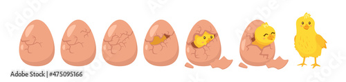 Hatching process. Vector cartoon illustration. White background.