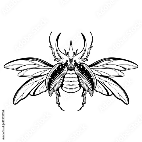 Hand drawn vector illustration - Egyptian collection. Scarab beetle, symbol of pharaoh. Perfect for invitation, web, postcard, poster, textile, print etc.