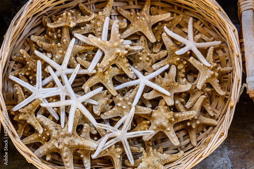 Fototapeta Naklejka Na Ścianę i Meble -  Many starfishes for sale at the street shop