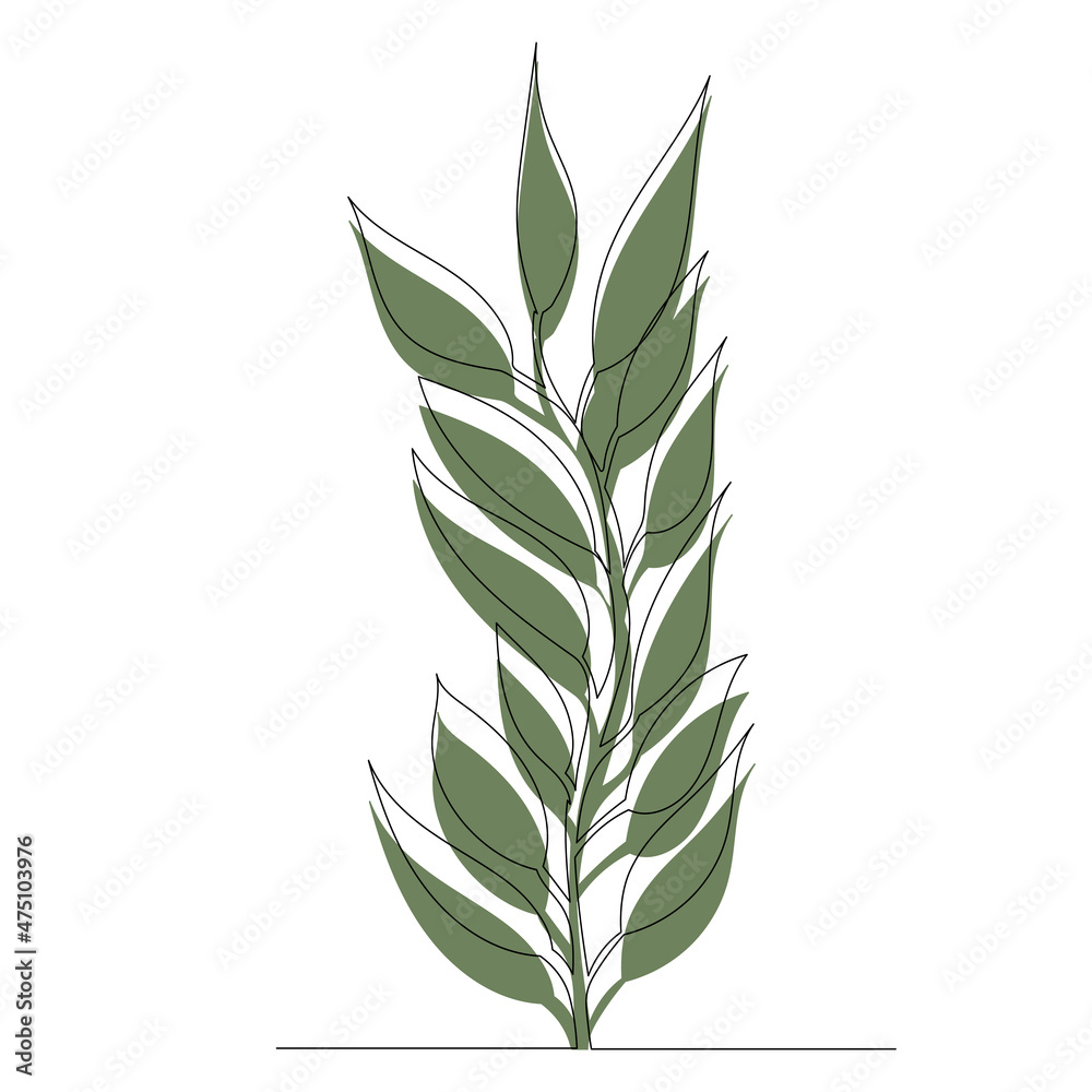 green plant on white background sketch, vector, isolated