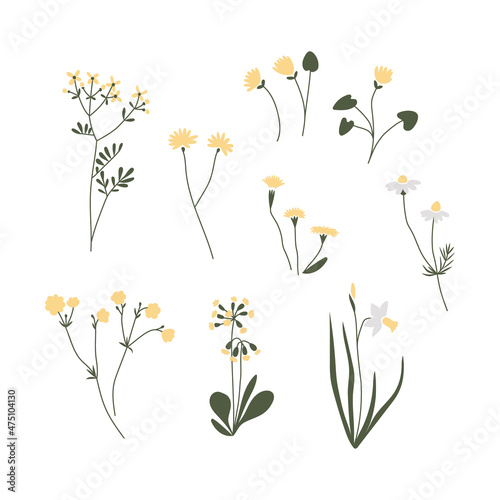 Canvastavla Vector color hand drawn illustration with yellow flowers set