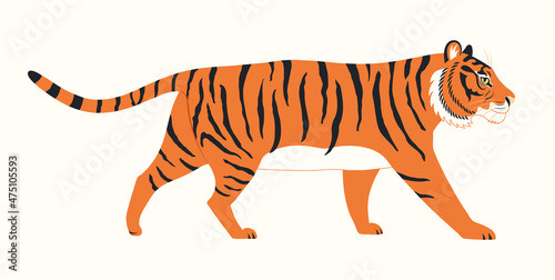 Tiger walking, isolated on white. Jungle wildlife, wild animal. Asian zodiac sign, astrological symbol. Hand drawn style vector illustration. 2022 Chinese New Year card, banner, horoscope element.