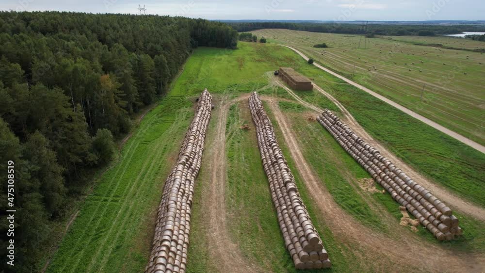 Hay storage in field near farm, aerial view. Haystacks prepared for animal feed in winter. Stacks dry hay open air field storage. Store hay correctly after wet weather. Silage harvesting, straw bale.