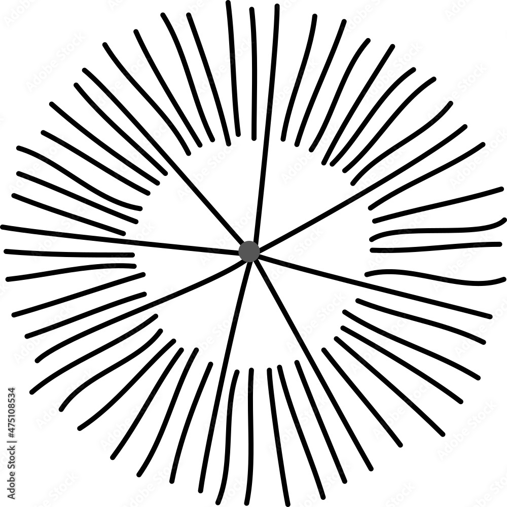 Obraz premium Tree plan hand drawn sketch icon top