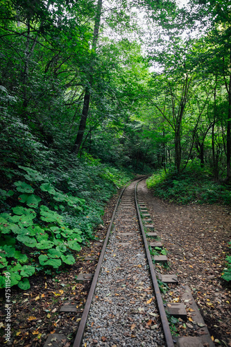 old railway in green forest landscape summer