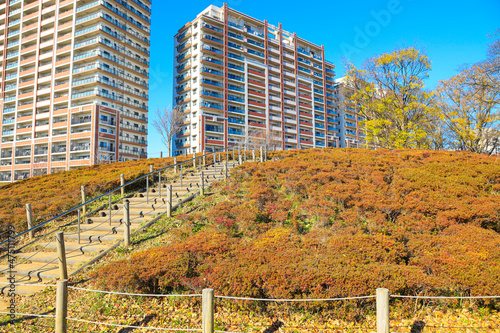 【千葉県流山市】流山おおたかの森駅南口公園 西初石近隣公園の風景 photo