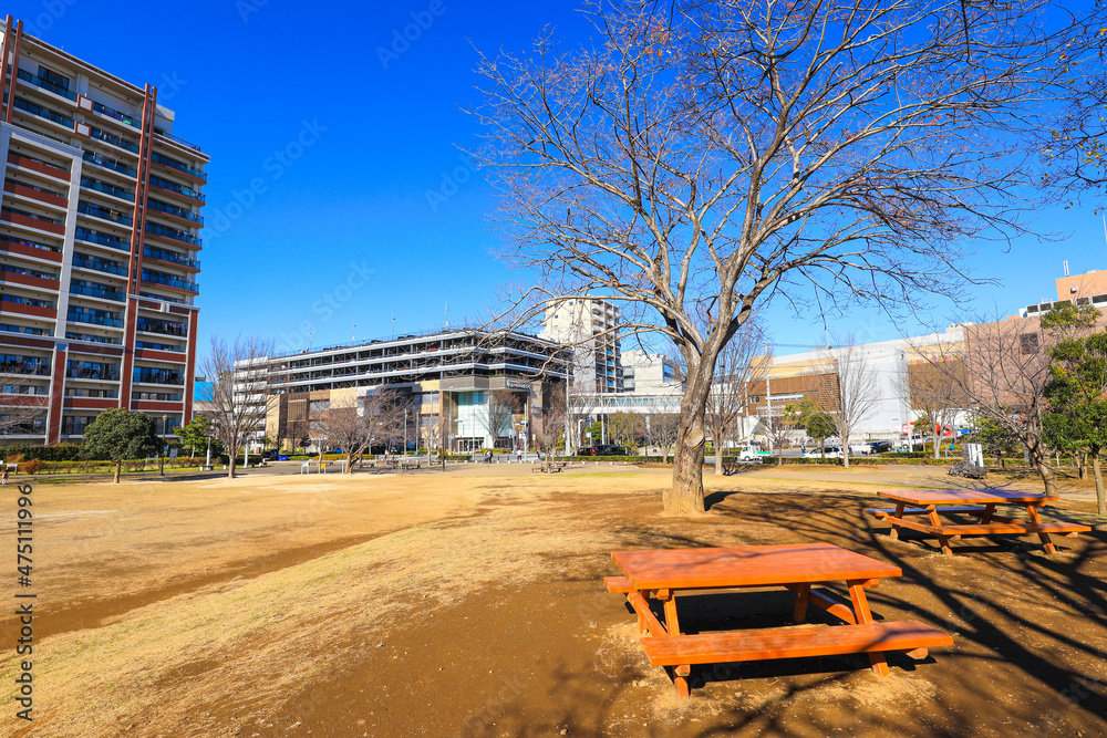 【千葉県流山市】流山おおたかの森駅南口公園 西初石近隣公園の風景 Stock Photo | Adobe Stock