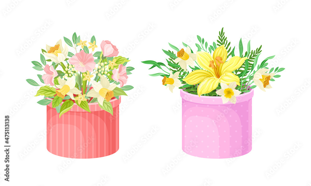 Bouquets of beautiful flowers in boxes set vector illustration Bouquets of beautiful flowers in boxes set vector illustration