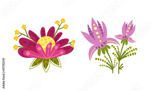 Fototapeta Naklejka Na Ścianę i Meble -  Fantasy flowers set. Floral natural decoraion vector illustration