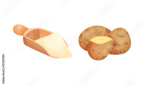 Potato and flour in wooden scoop. Organic natural products vector illustration
