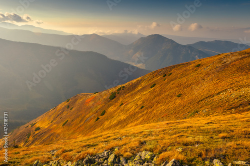 Fototapeta Naklejka Na Ścianę i Meble -  Beautiful autumn in the Western Tatras. Yellow and orange grasses create an amazing atmosphere. The light of the setting sun illuminates the mountain ridges.
