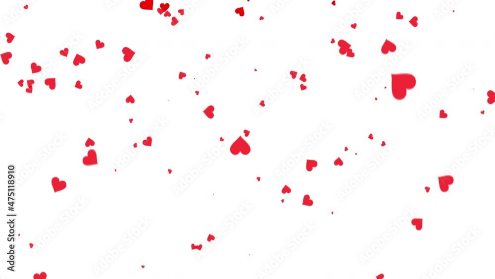 Falling shaped red hearts on a white background. Motion graphic video animation. Valentines day Falling shaped red hearts on a white background. Motion graphic video animation. Valentines day