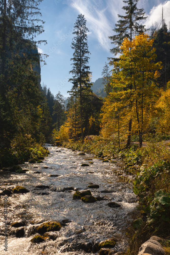Kościeliska Valley in the autumn landscape. Western Tatras in the morning. Kościeliska Valley in the autumn landscape. Western Tatras in the morning.