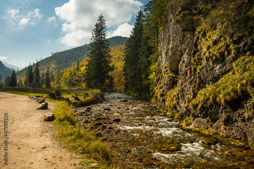 Kościeliska Valley in the autumn landscape. Western Tatras in the morning.