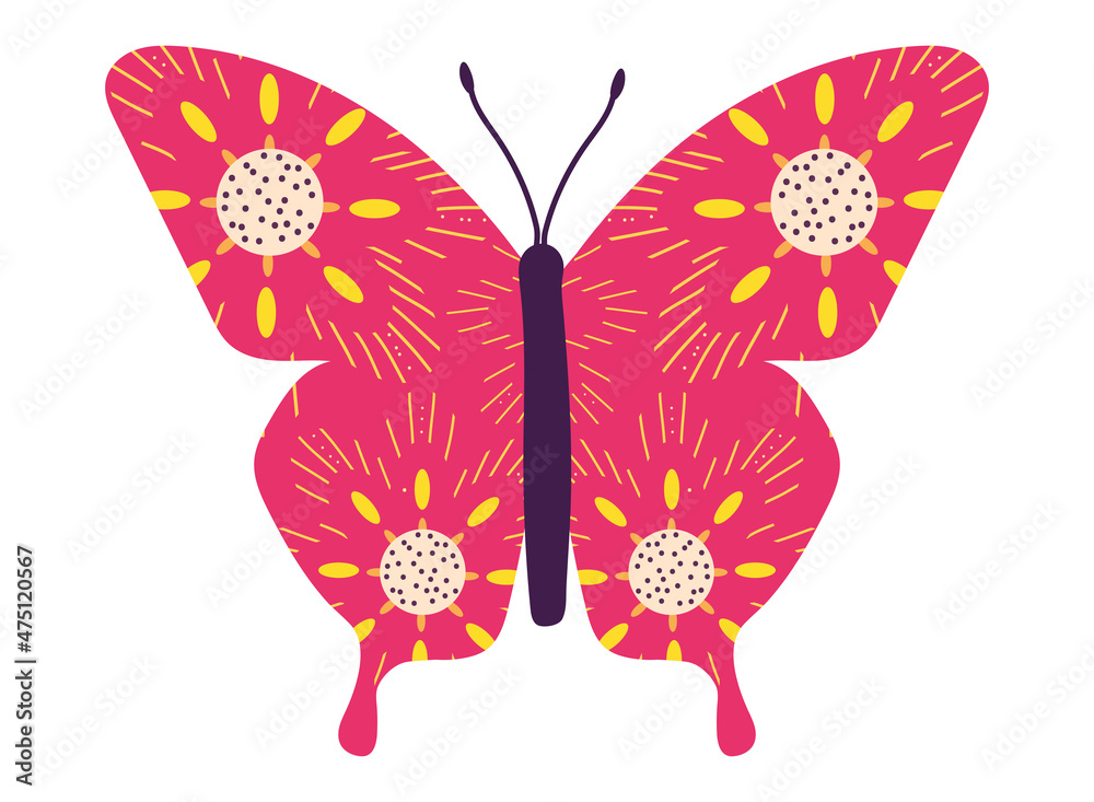 beautiful pink butterfly