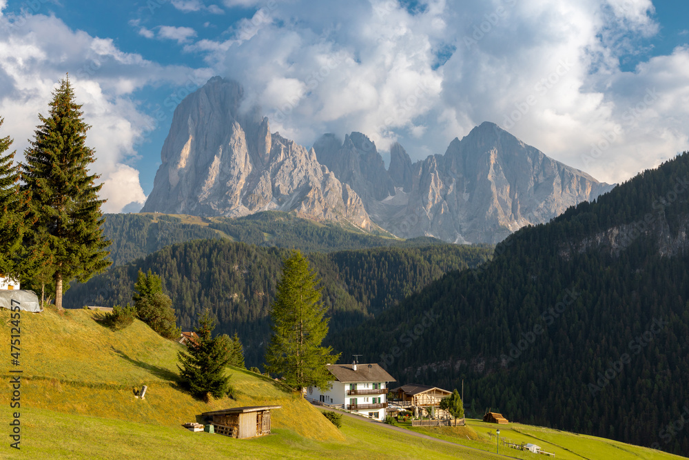 Häuser im Grödnertal vor dem Langkofel, Gröden, Südtirol