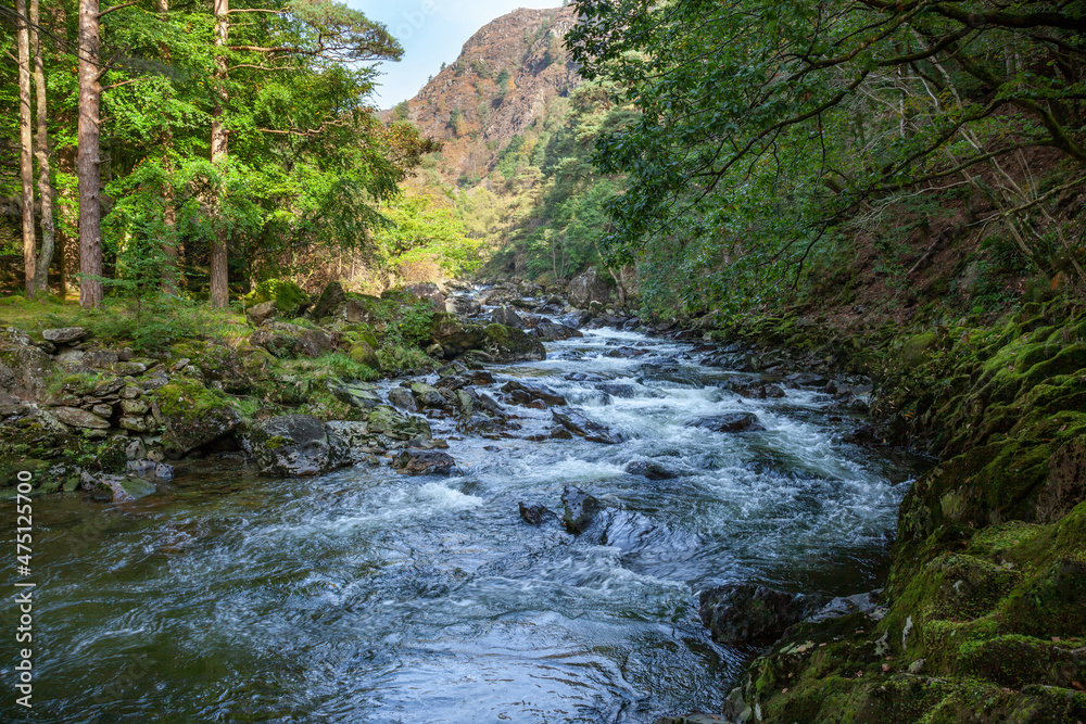 View along the Glaslyn River in Autumn View along the Glaslyn River in Autumn