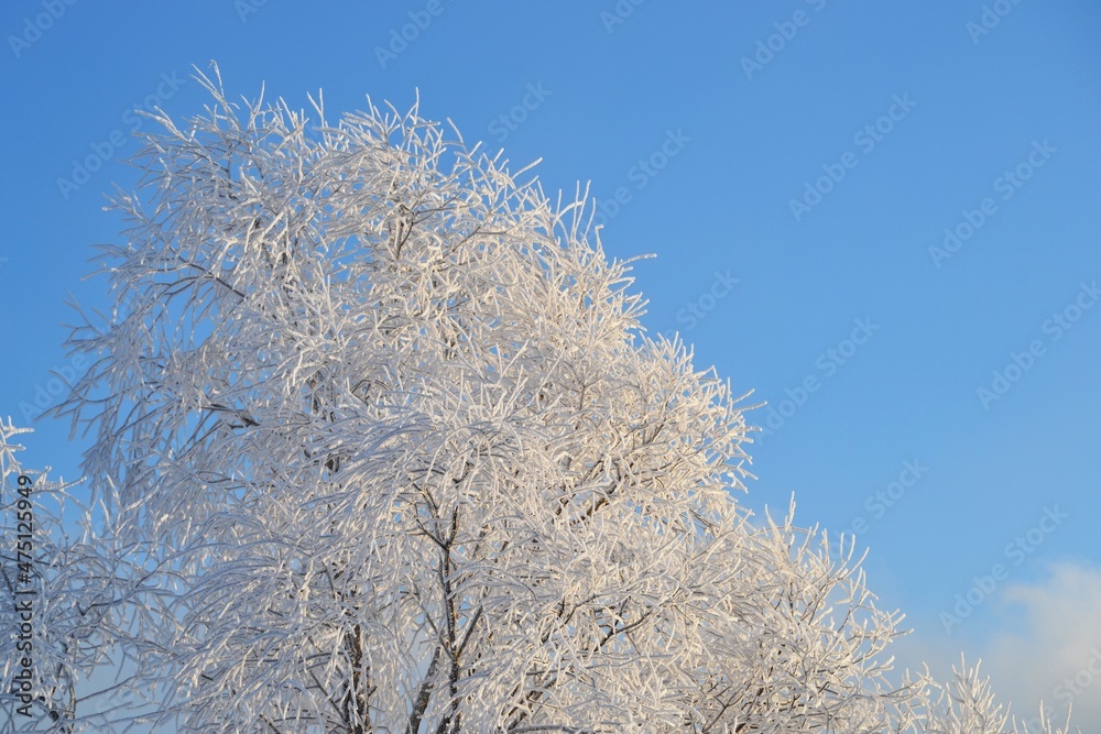 freezing