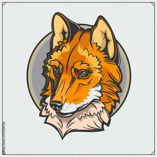 Beautiful fox emblem and label. Vector illustration.