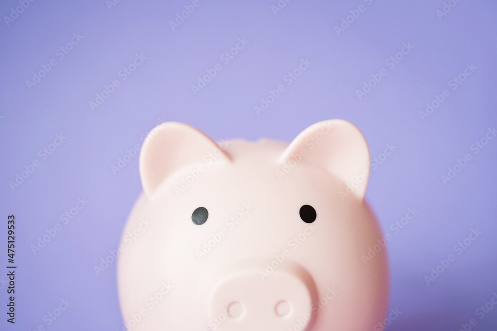 piggy bank. deposits and bank accounts for saving money