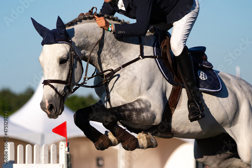 Horse Jumping, Equestrian Sports, Show Jumping themed photo. photo