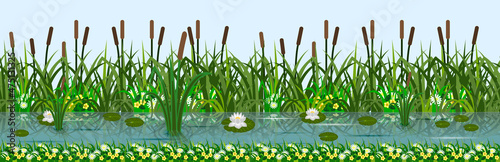 Pond or lake with lotus waterlilies, reeds in grass, chamomiles and yellow flowers. Green grassland, lake water, leaves, cuttails, summer riverside.Cartoon seamless background, vector illustration