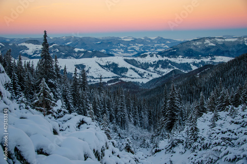 winter mountain landscape © Ihor Zarutskyi
