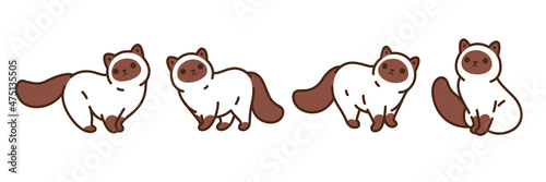 Funny full cat in different poses in cartoon style. Siamese fluffy cat. Cartoon vector illustration.