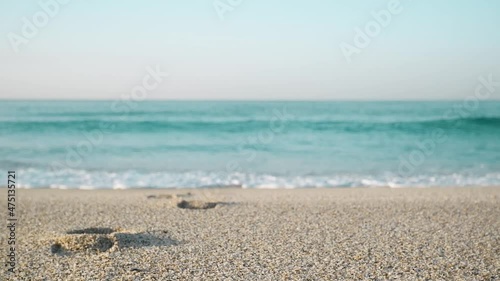 Footprints in the sand going into the birch sea