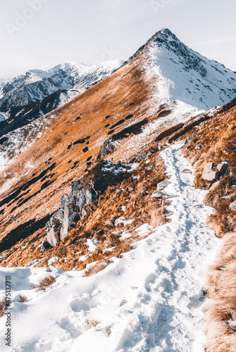 Mountain peaks in winter scenery, Tatra Mountains, Poland
