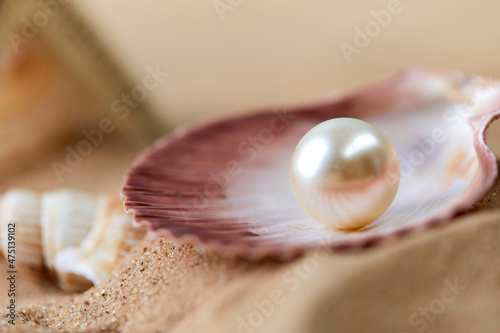 An open sea shell with a pearl inside..
