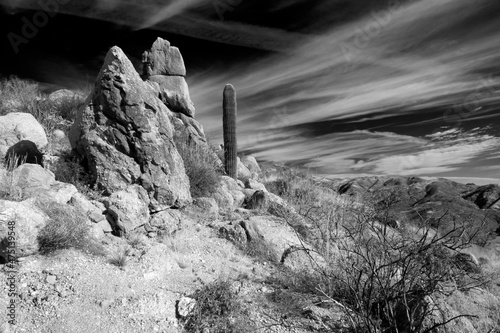 A black and white picture of rocks in the Sonora desert © Richard Nantais