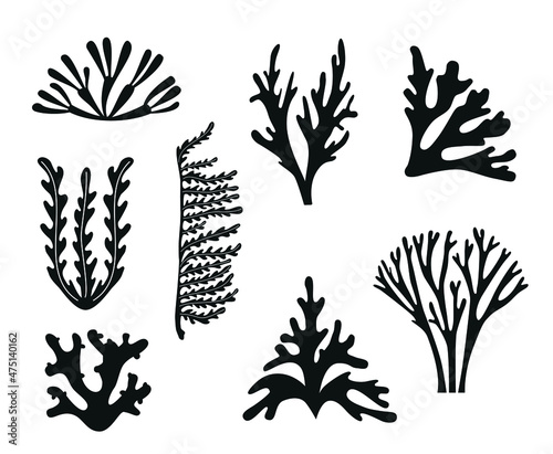 Obraz na plátně Isolated black icons set silhouettes of seaweed and coral