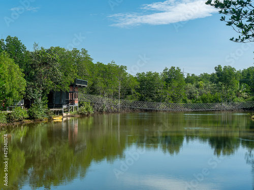 Bridge over a canalat a mangrove forest in Thailand