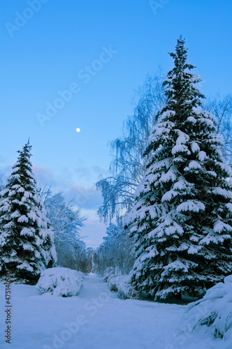 full moon rising above snow covered park