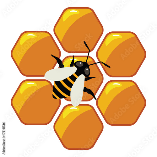 vector symbol of working bee on honeycells
