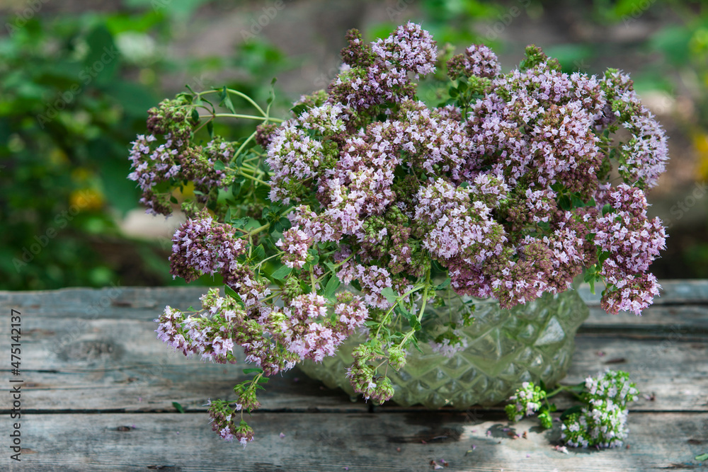 Obraz premium bouquet of origanum on wooden table in garden