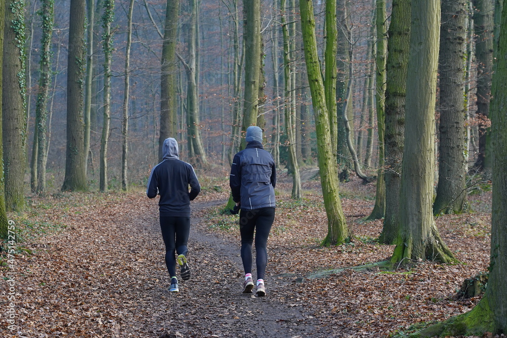 forest run,waldlauf forest run,waldlauf